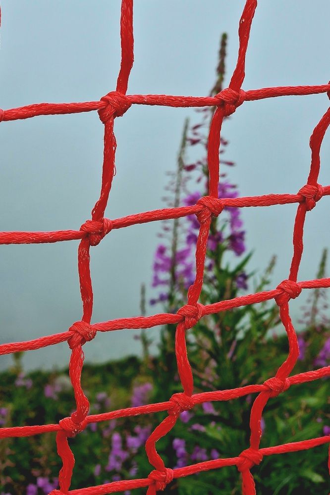 Photograph by Юлия Тесленко