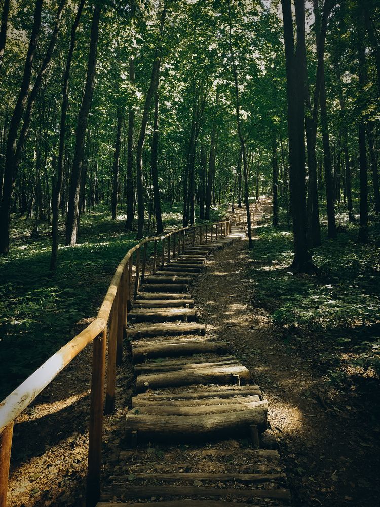 Photograph by Евгения Журавлева