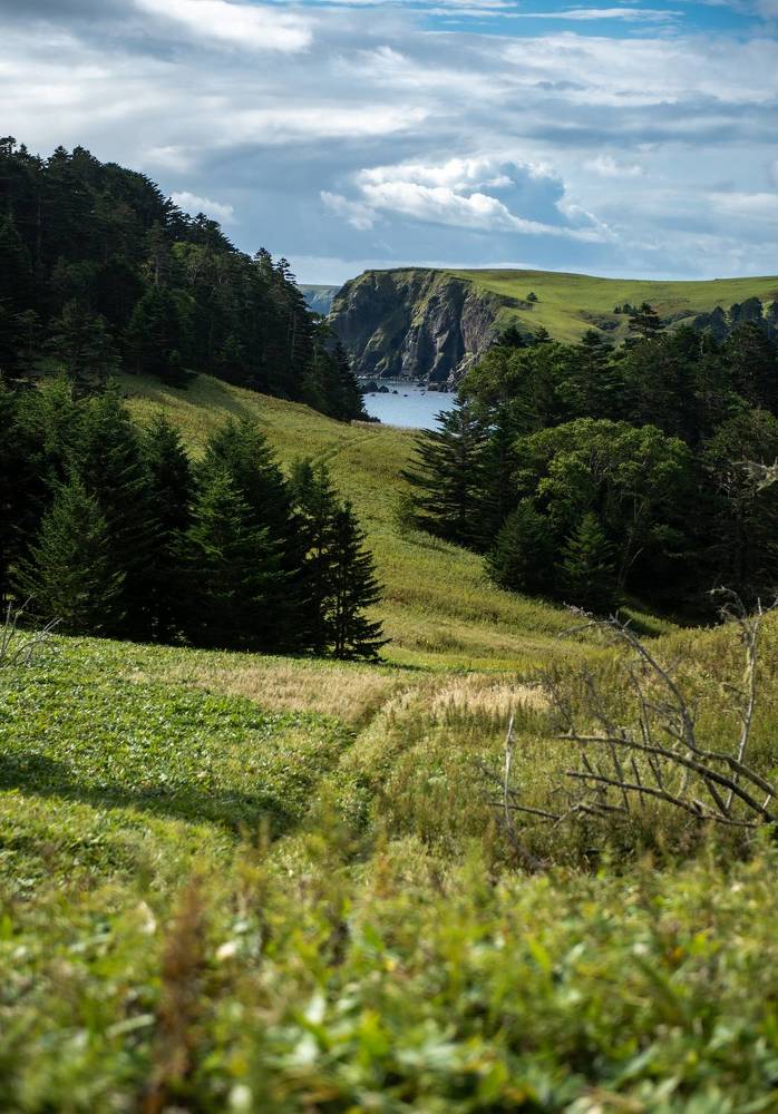 Фотография автора Александр Домнин