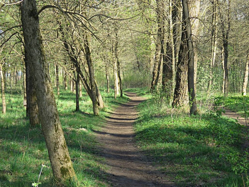 Photograph by Галина Пименова