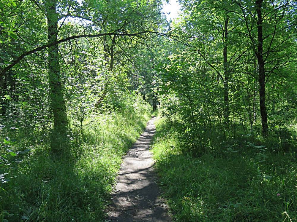 Photograph by Галина Пименова