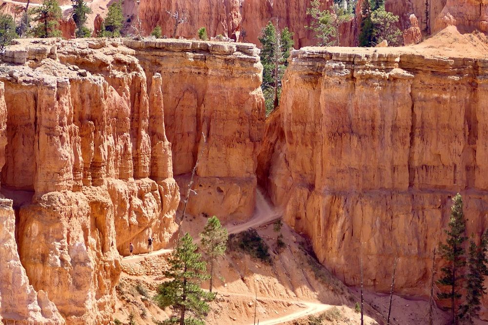 In the maze of the canyon