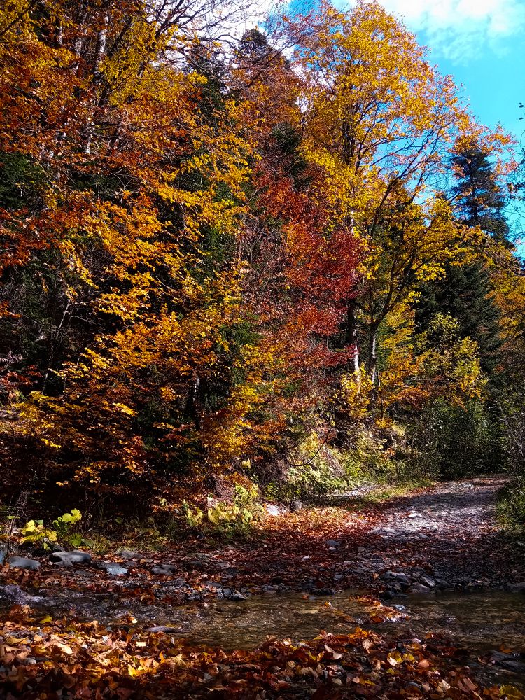 Photograph by Марина Губская