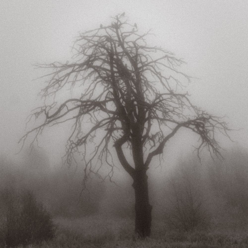 Photograph by Яна Каменская