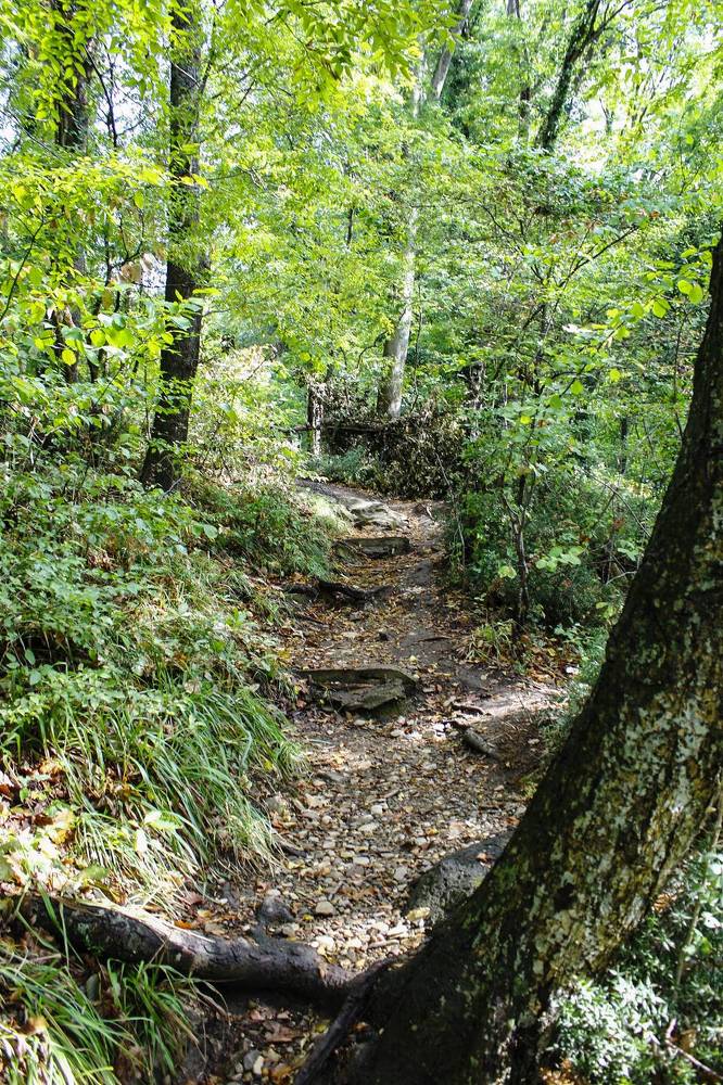 Photograph by Ирина Шибитова