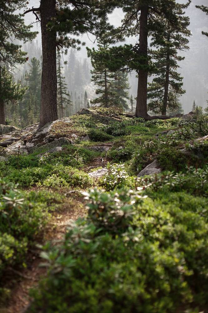 Photograph by Нерозя Александр