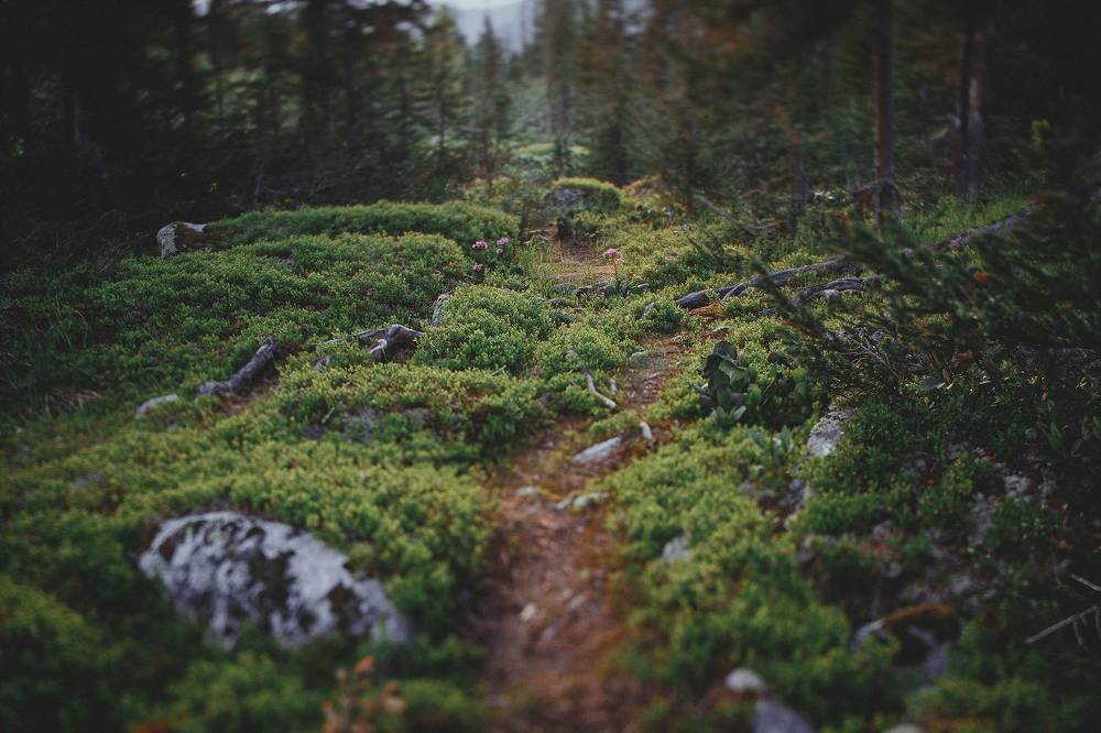 Photograph by Нерозя Александр