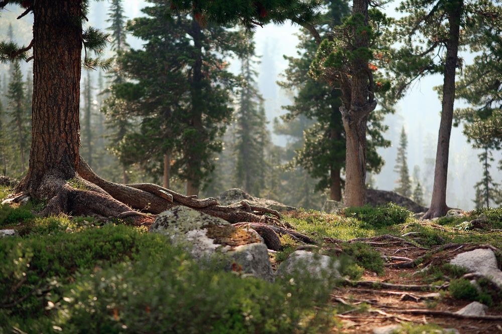 Photograph by Нерозя Александр