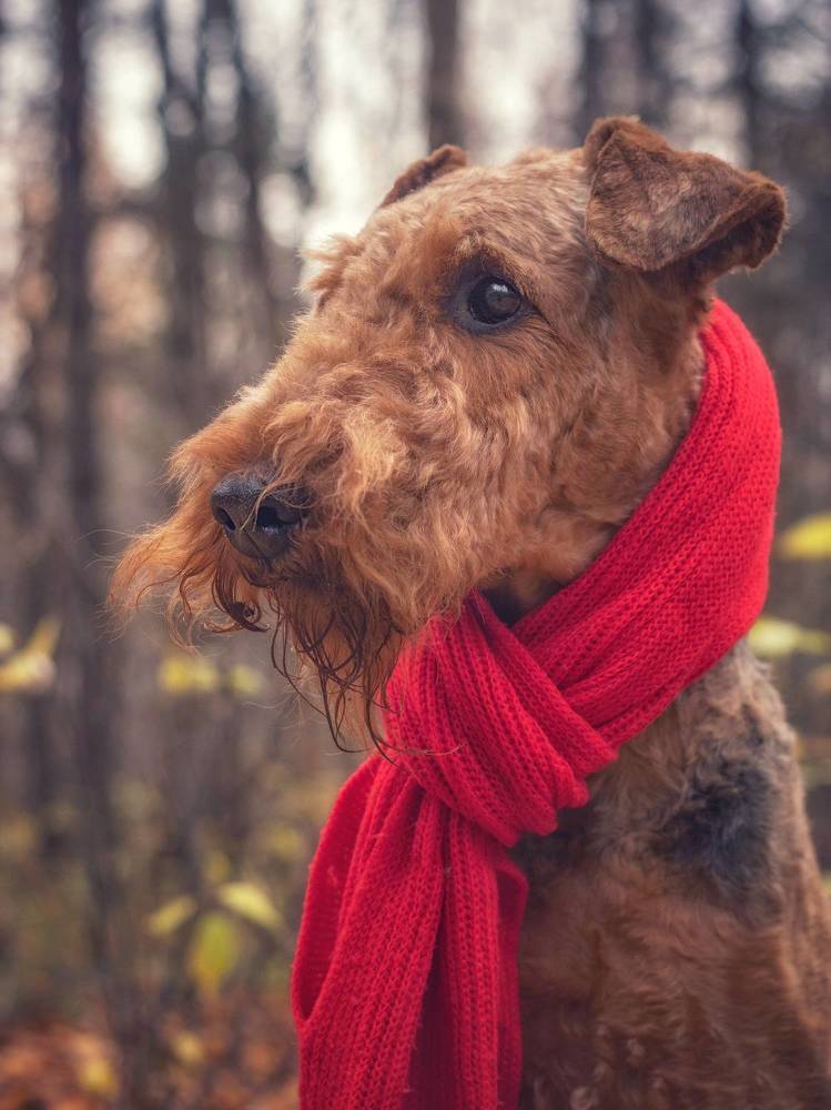 Photograph by Татьяна