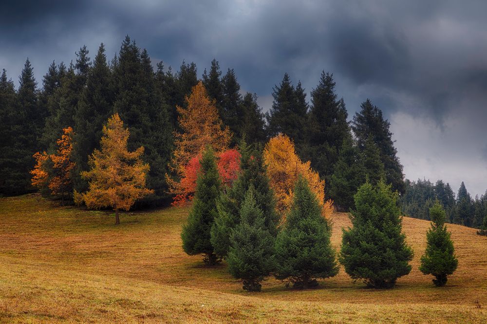 Праздник осени