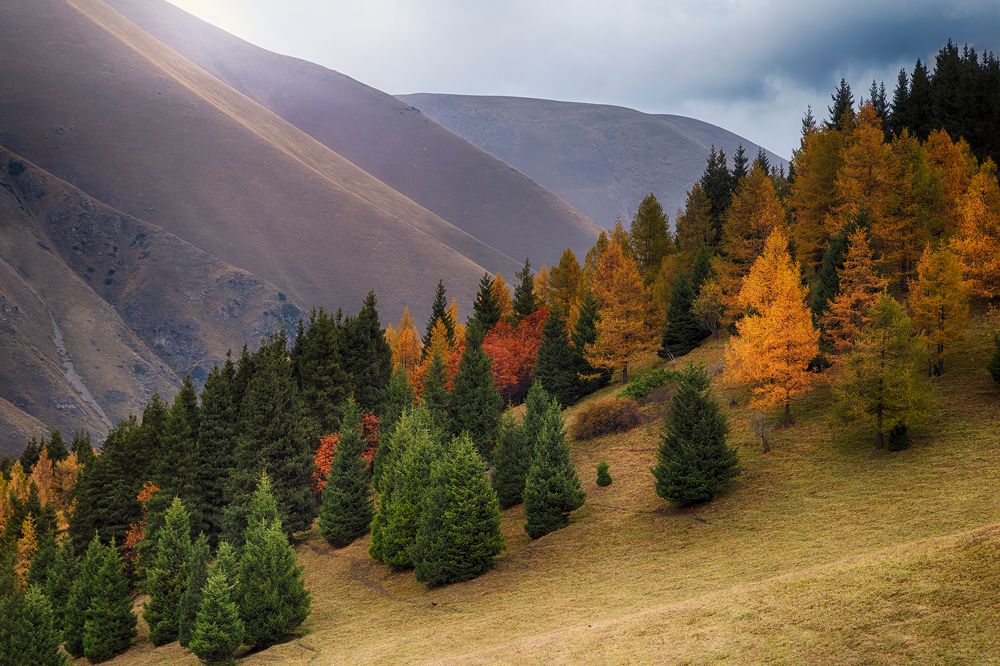 Осень Ак-Тюза