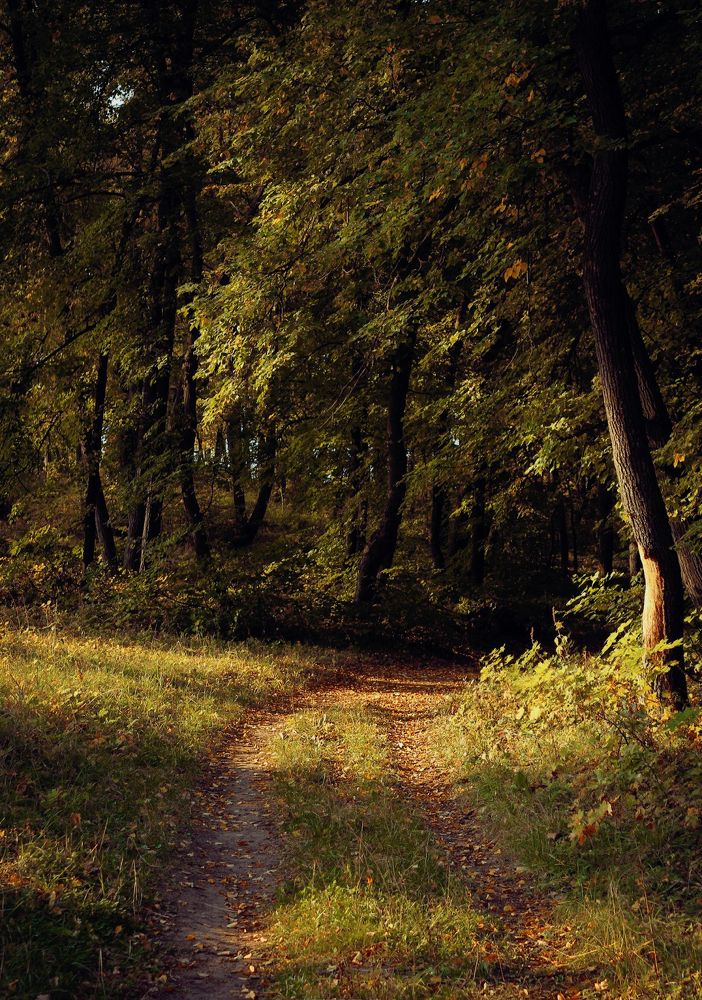 Photograph by Евгения Журавлева