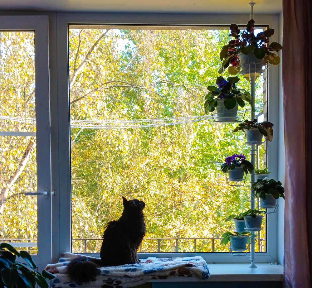 Фотография автора Джаф