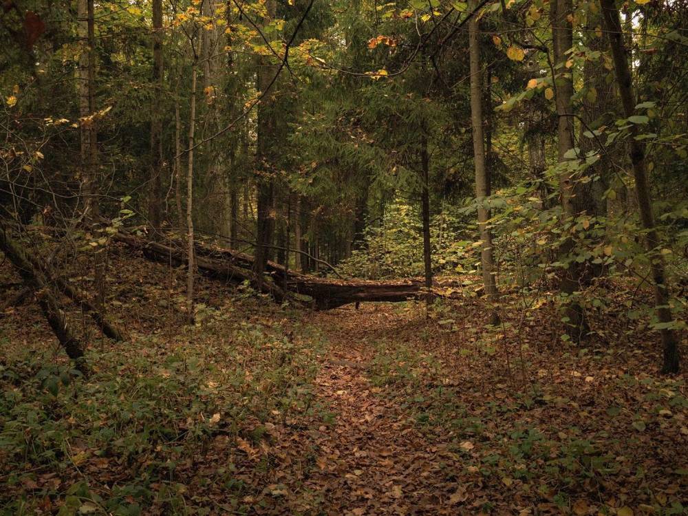 Фотография автора Юрий Володин