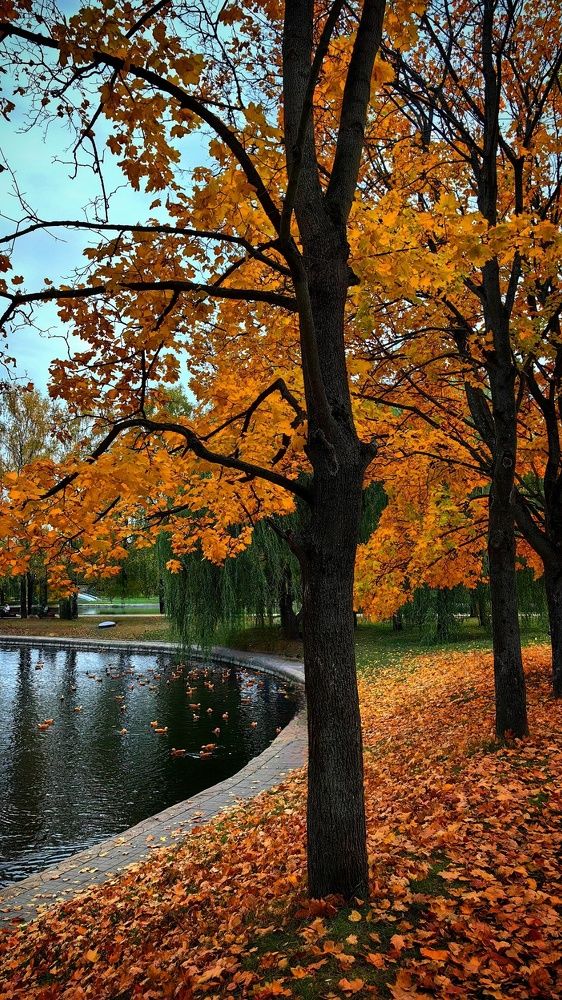 Photograph by Anastasiya