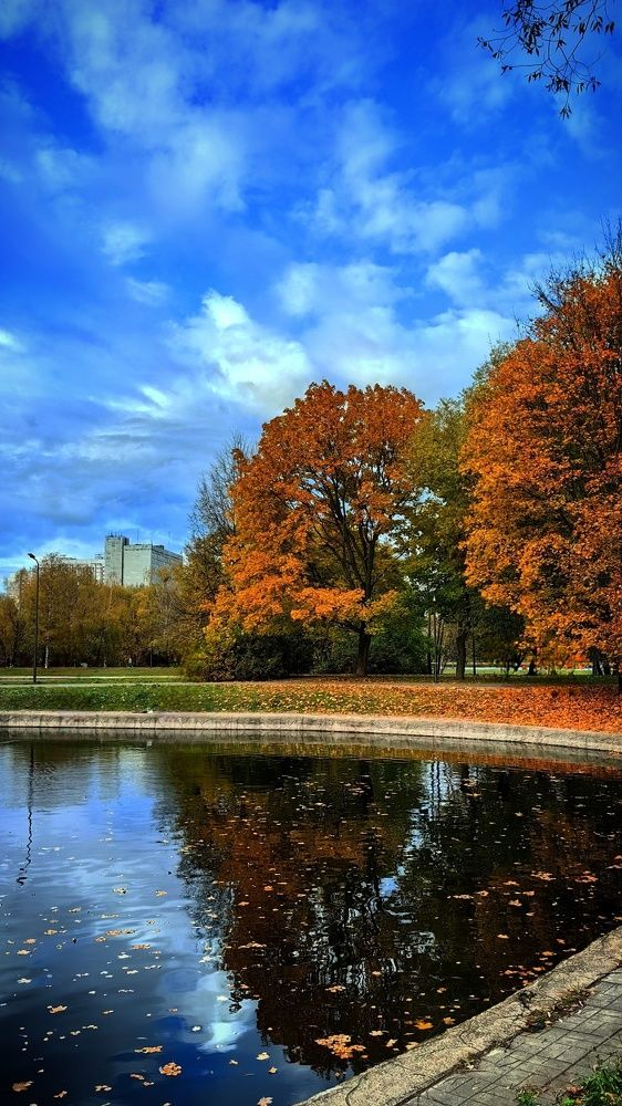 Photograph by Anastasiya