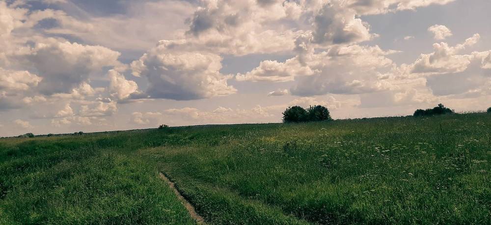 Фотография автора Valerya Vasileva