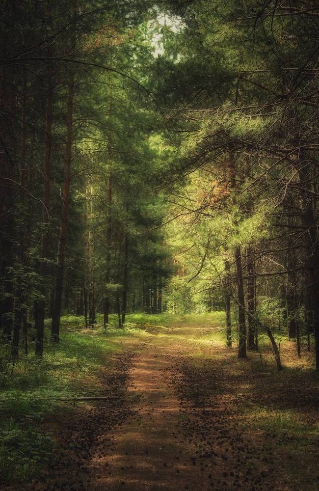 Photograph by Анатолий Нифантов