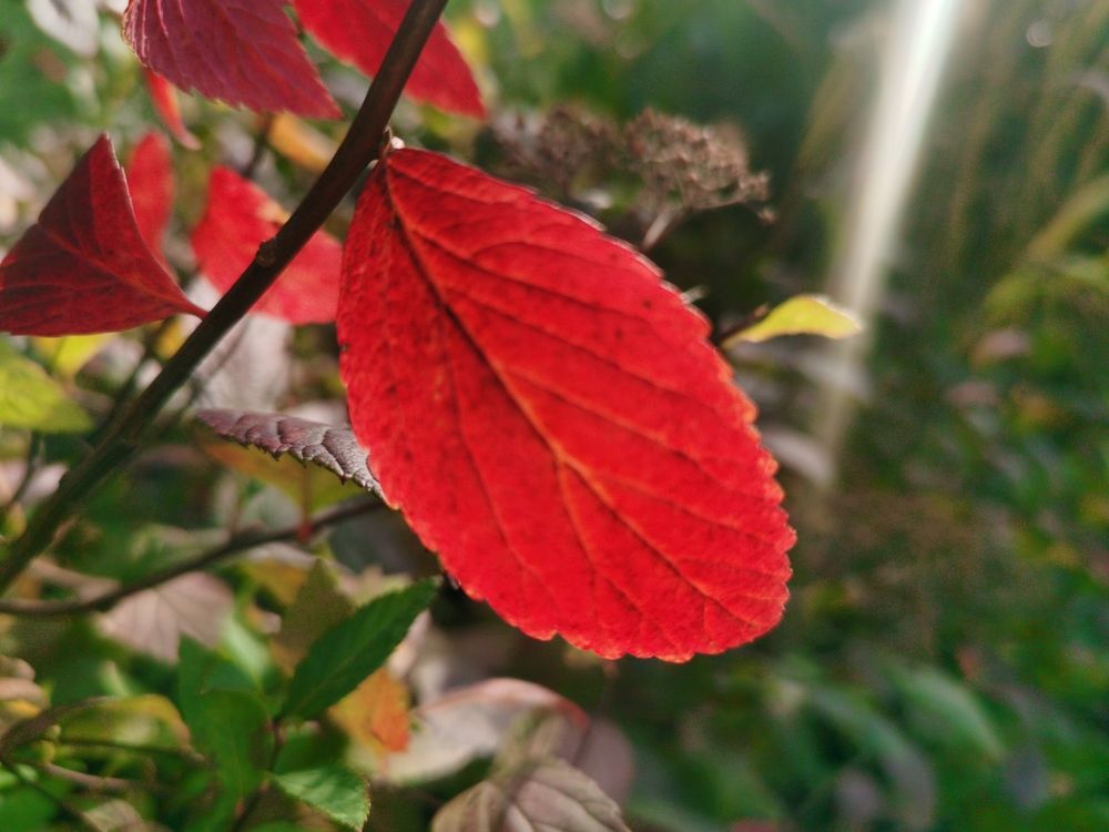 Photograph by Aleg Kazhushka