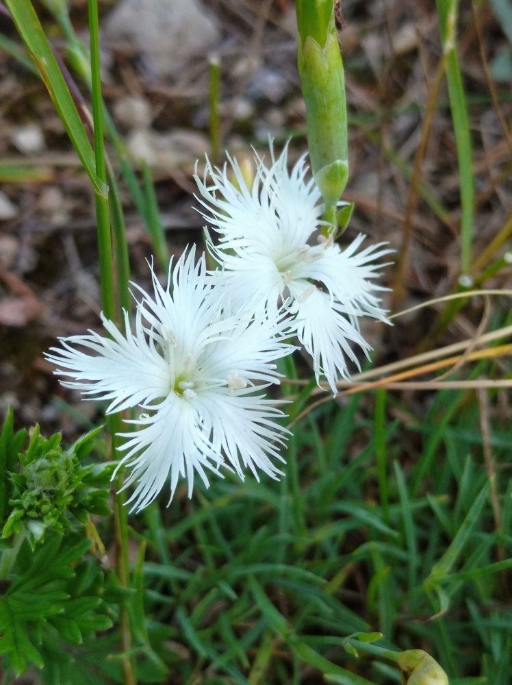 Photograph by Владимир Юрченко