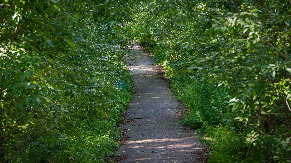 Photograph by Вадим Басов