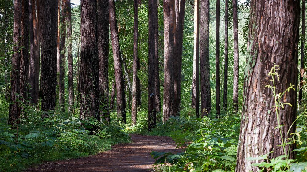 Photograph by Вадим Басов