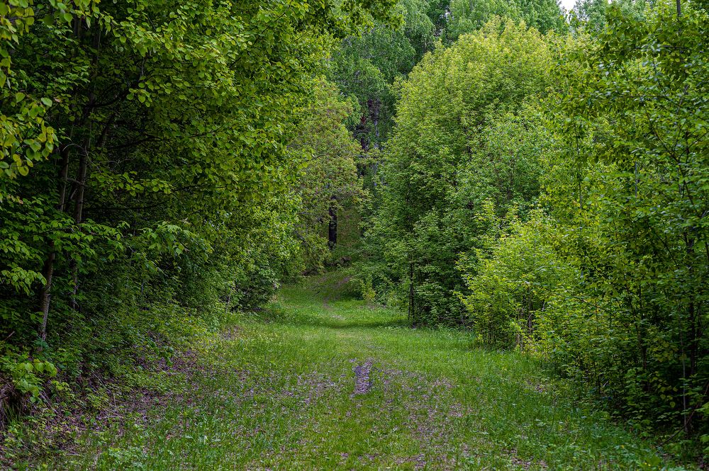 Photograph by Вадим Басов