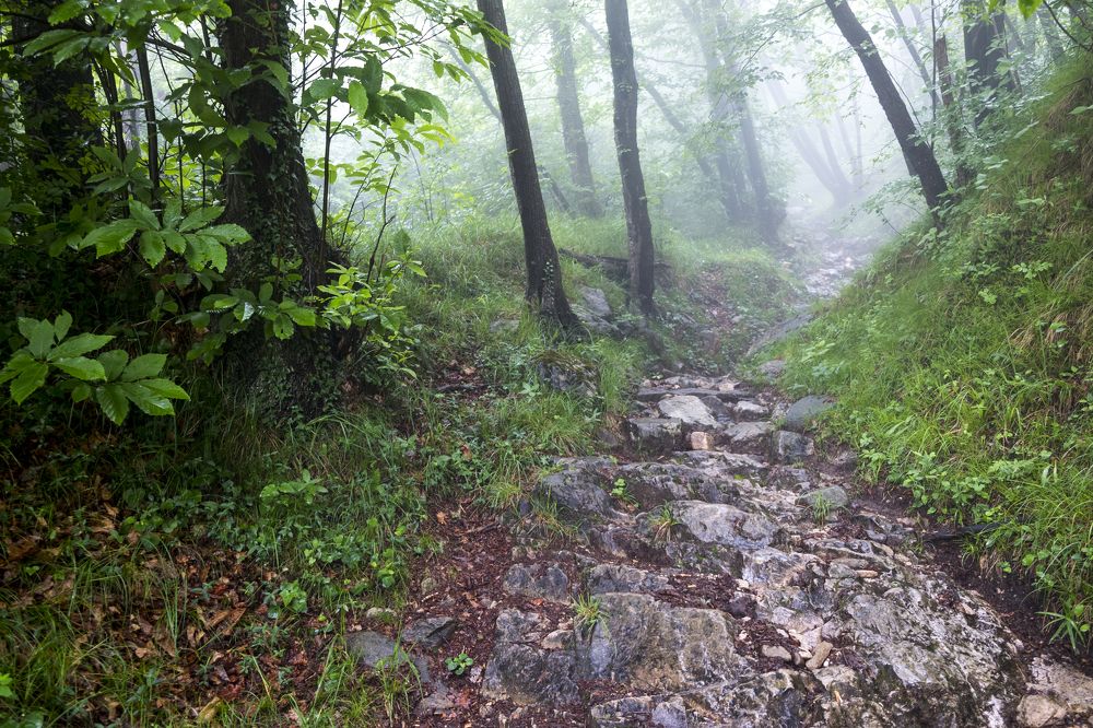 Photograph by Владимир