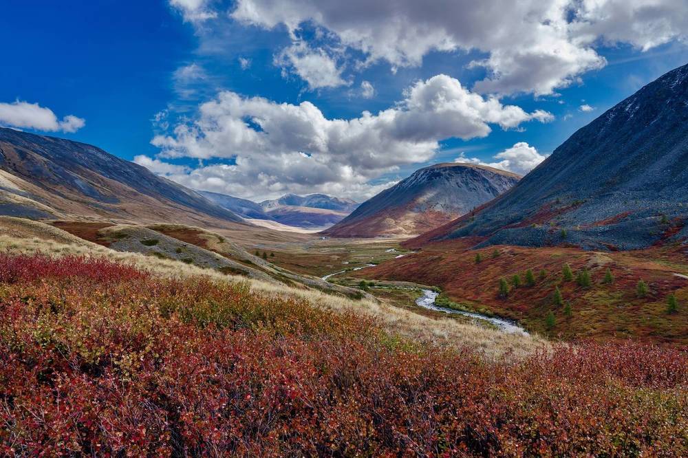 Photograph by Кузнецов Андрей