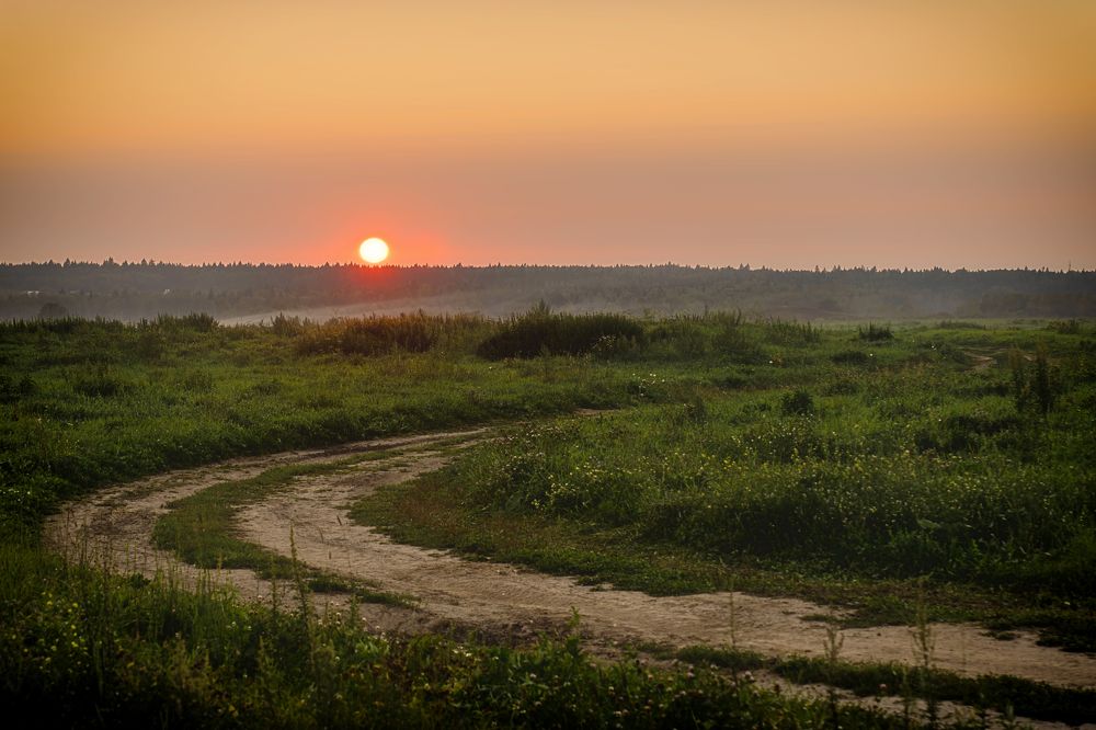 Photograph by 