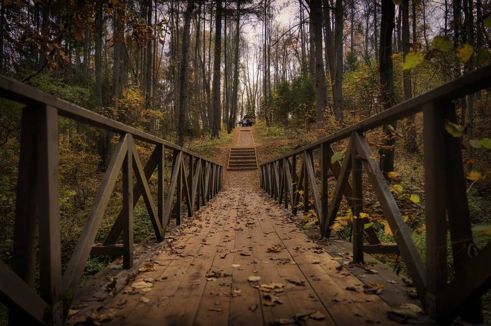 Фотография автора Андрей Пучков