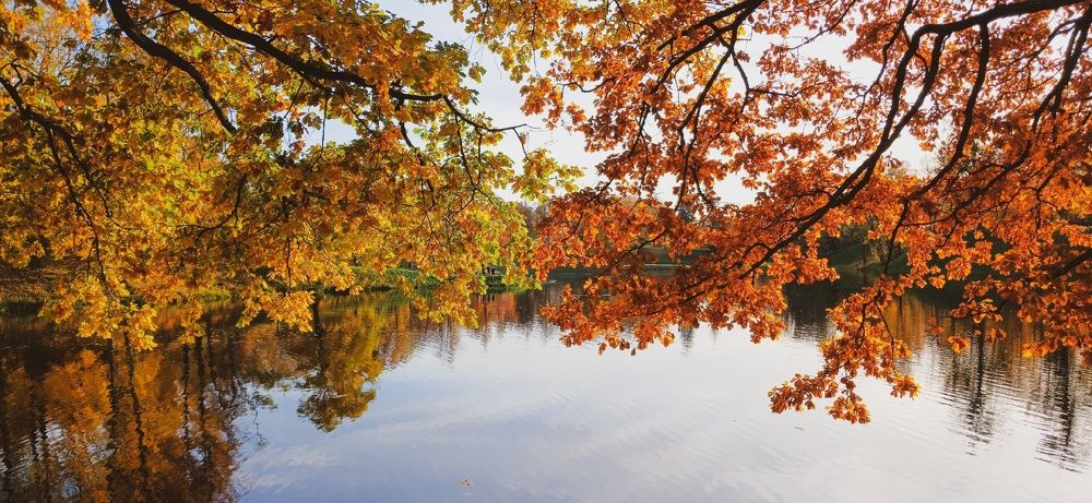 Фотография автора Valerya Vasileva