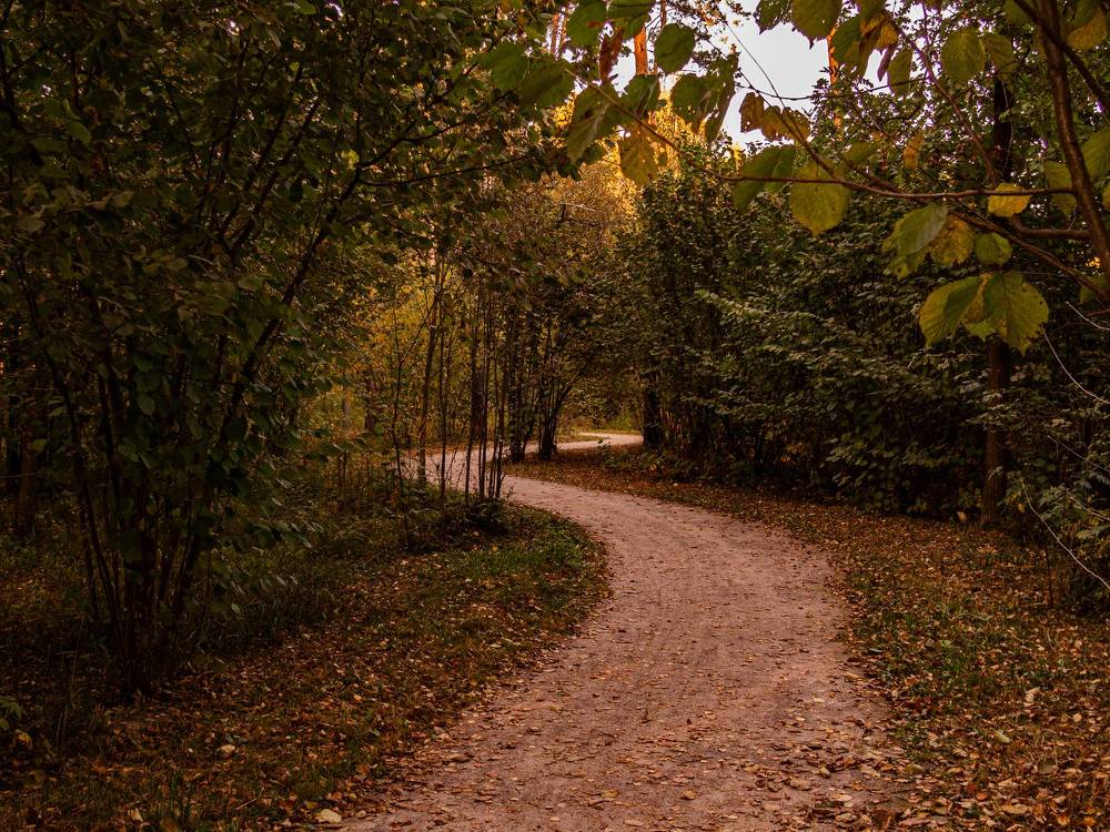 Фотография автора Юрий Володин
