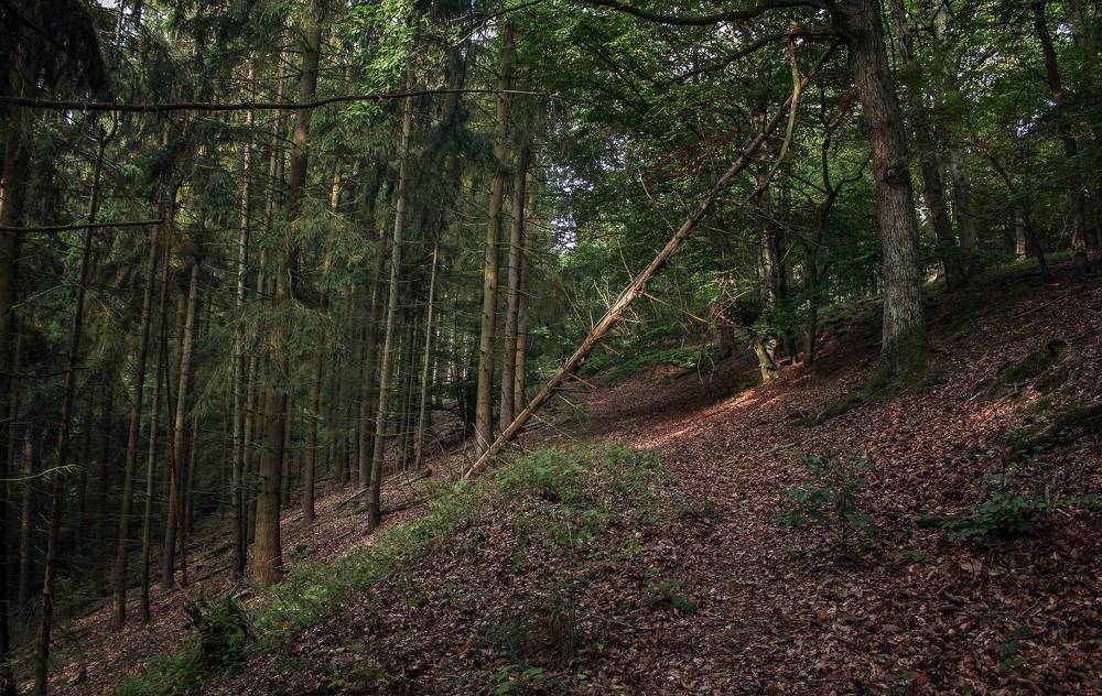 Фотография автора Александр