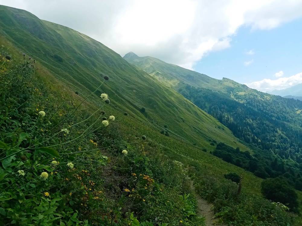 Photograph by Марина Губская