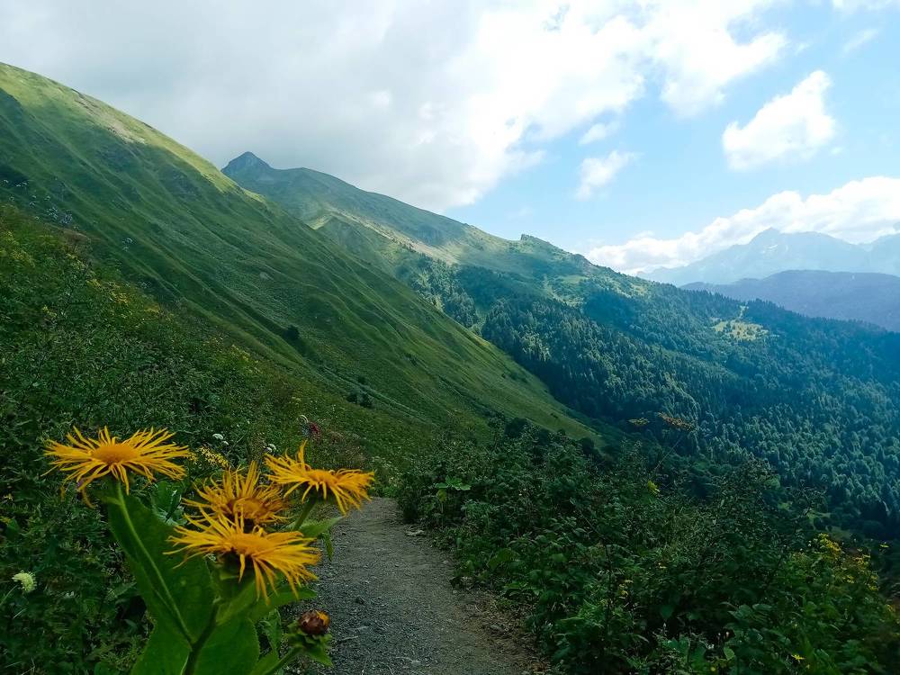 Photograph by Марина Губская