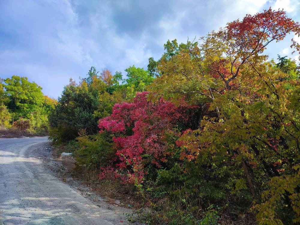 Photograph by Марина Губская