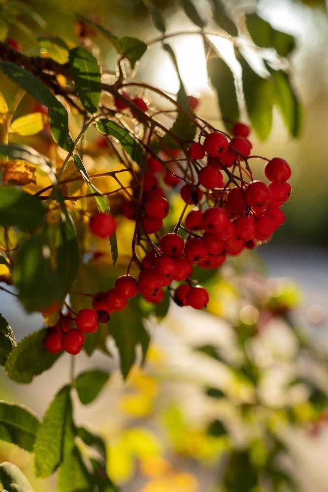 Photograph by Ирина Зиннурова