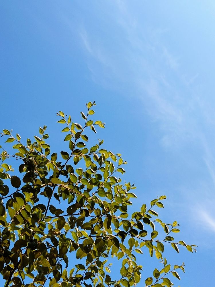 Photo #11213499