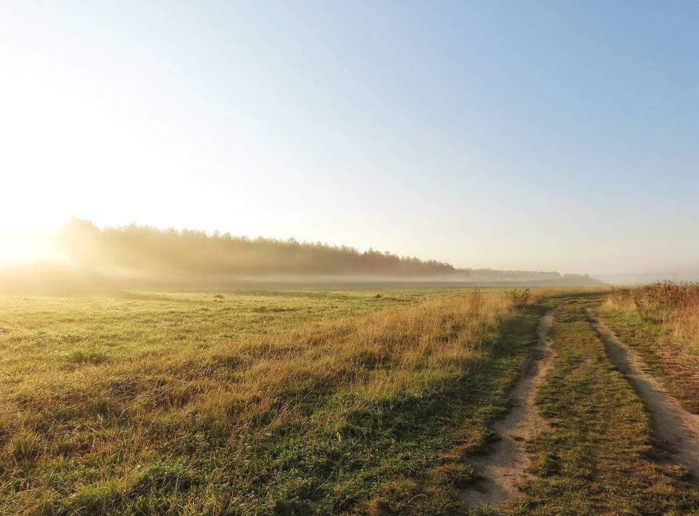Фотография автора Екатерина Солохина