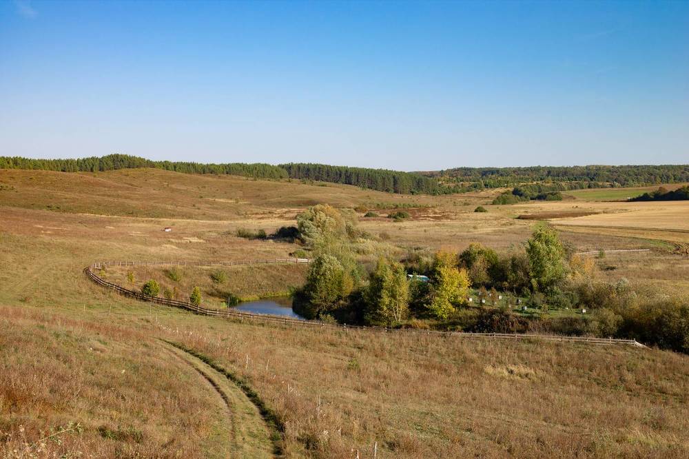 Photograph by Дарья Улюсова