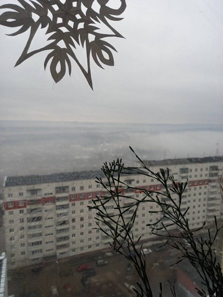 Photograph by Екатерина Хозяшева