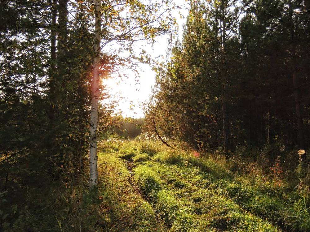 Фотография автора Екатерина Солохина