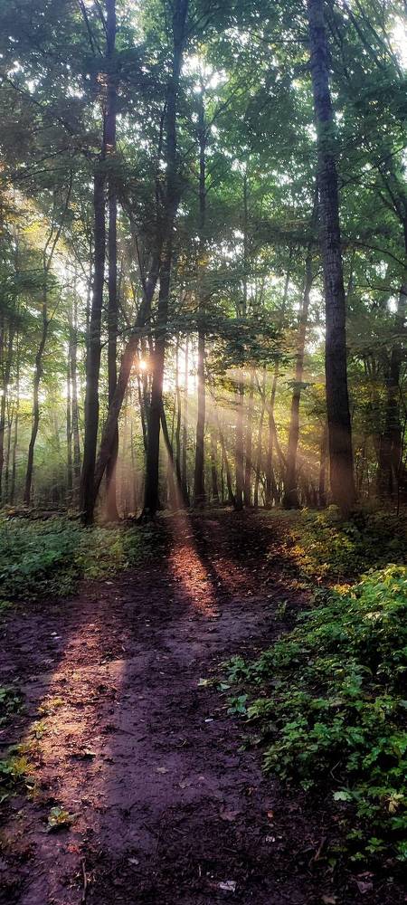 Фотография автора Шарова Наталия