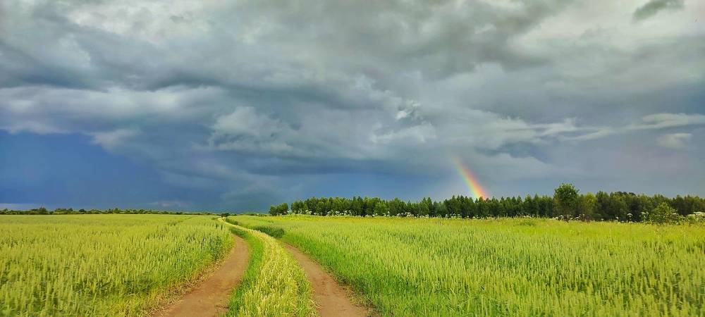 Photograph by Шарова Наталия