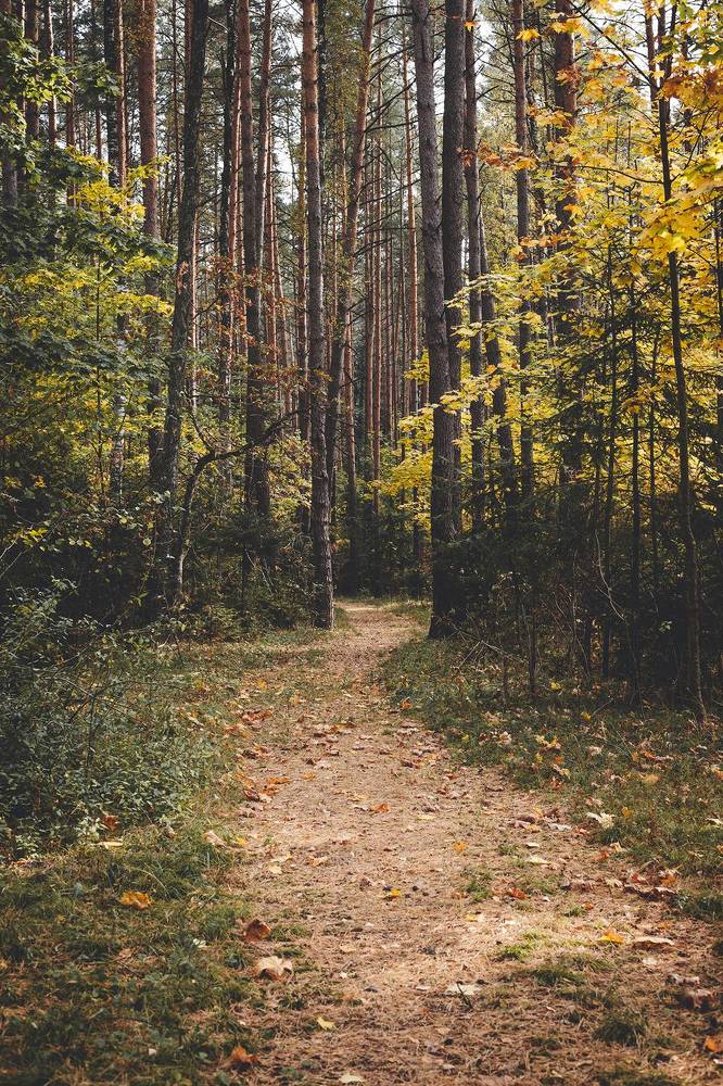 Photograph by Зенченко Алексей