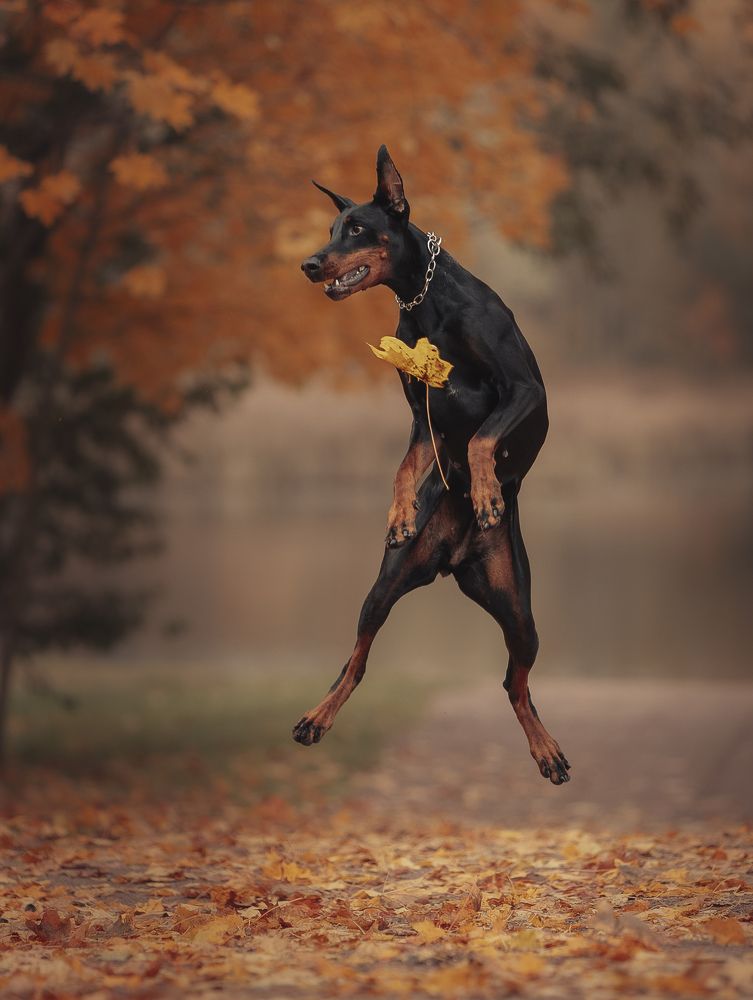 Photograph by Мария Клещенко