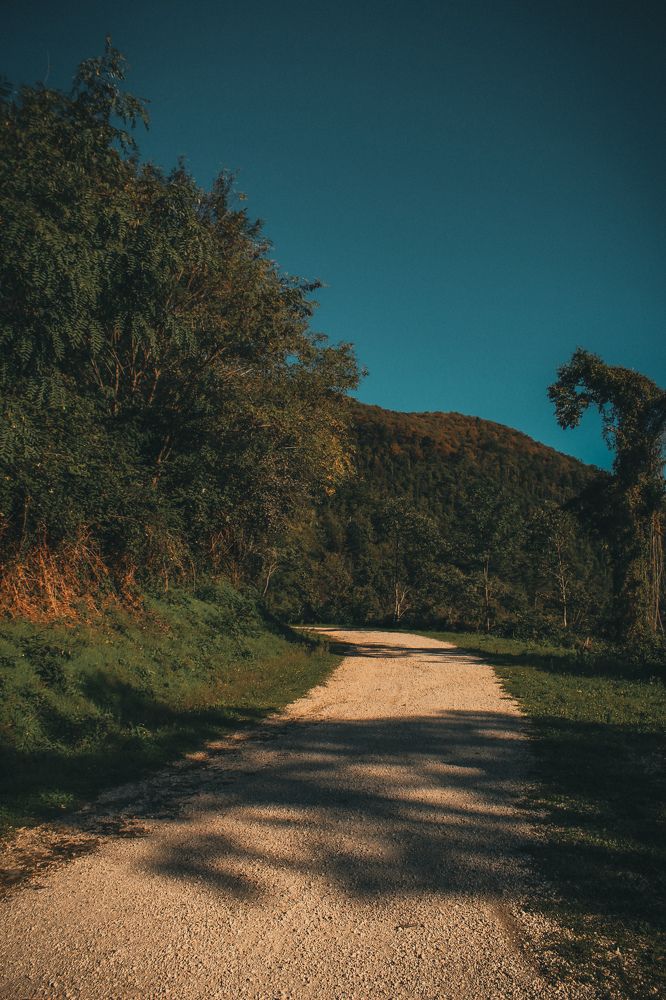 Photograph by Iryna Shyshkina