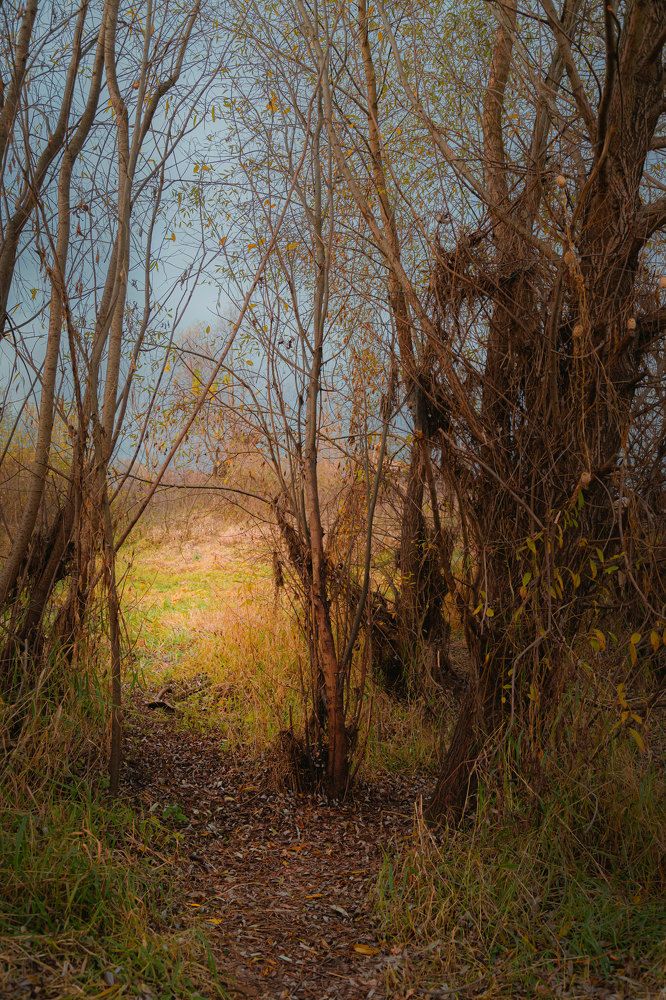 Photograph by Полина Лапкина