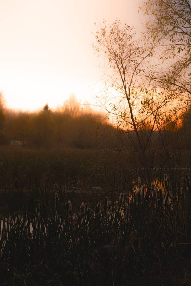 Photograph by Полина Лапкина